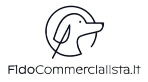 Fidocommercialista